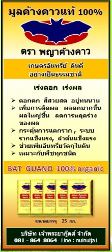 จำหน่ายมูลค้างคาวแท้